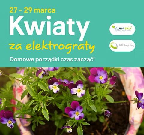 Kwiaty za elektrograty