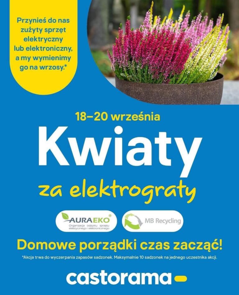 Elektrograty
