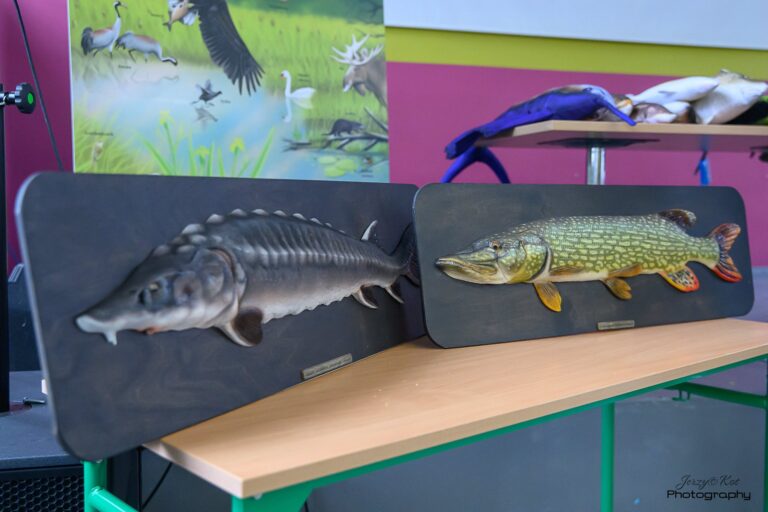 Warsztaty Ratuj Ryby