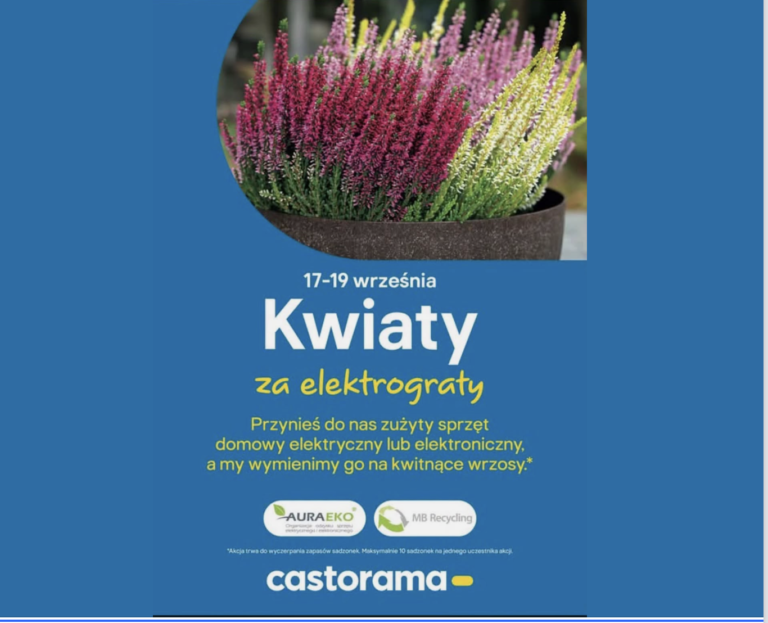 Kwiaty za Elektrograty